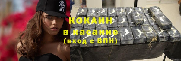 индика Алексеевка