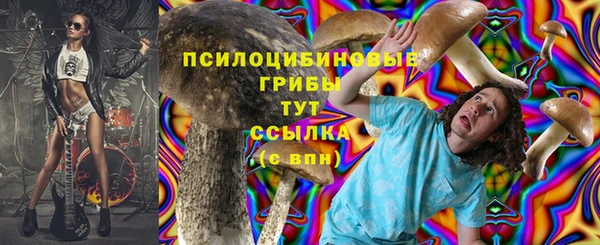 твердый Алексин