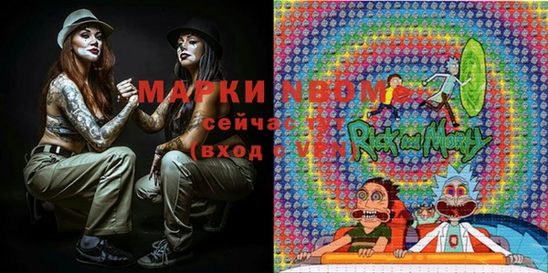 индика Алексеевка