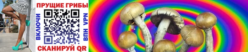 купить  цена  Льгов  Галлюциногенные грибы MAGIC MUSHROOMS 