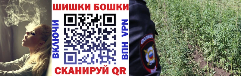 Канабис планчик  наркота  Льгов 